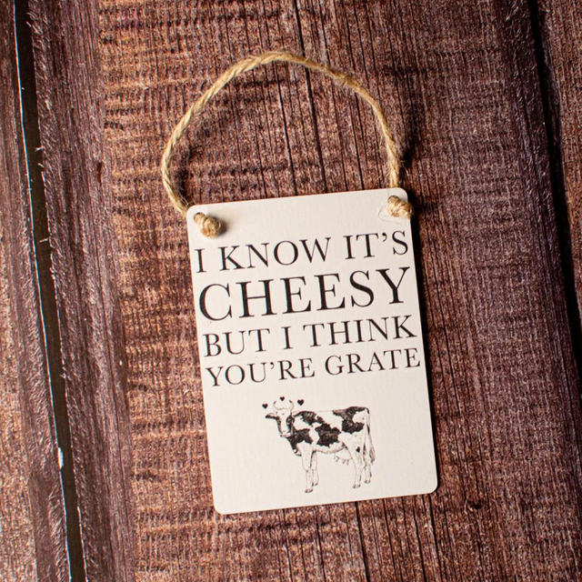 I Know Its Cheesy But I Think You're Grate - Mini Metal Sign