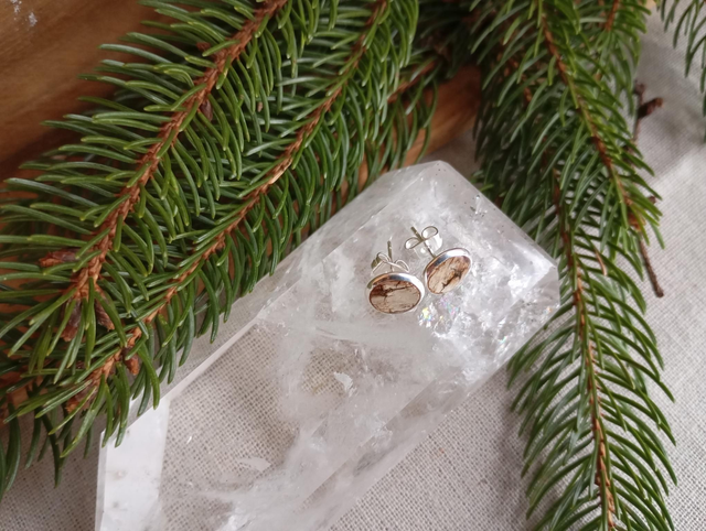 Clous d'oreilles - Bouleau