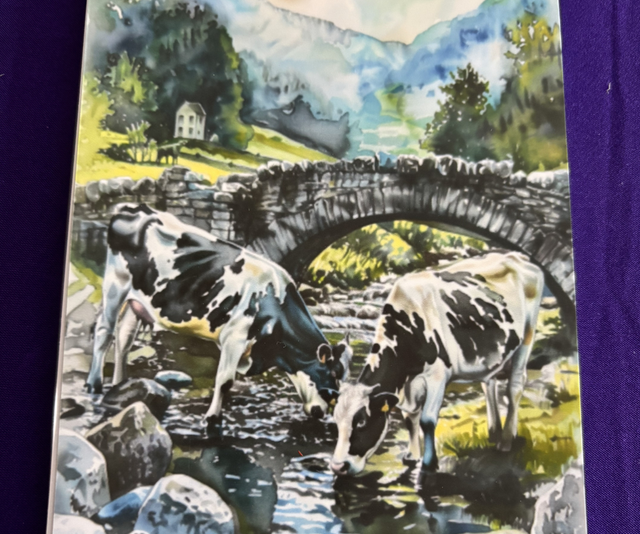 Plain Note Pad Cows drinking