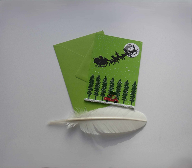 À la recherche du sapin de Noël