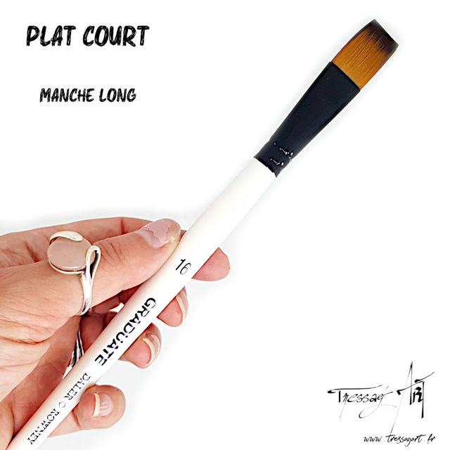 DALER ROWNEY - PINCEAU LONG UNITE - PLAT COURT - CA083