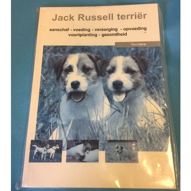 Boekje Jack Russell terrier