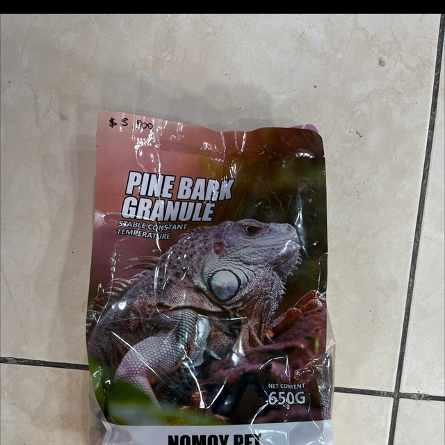 Tronco Pino Exóticos 