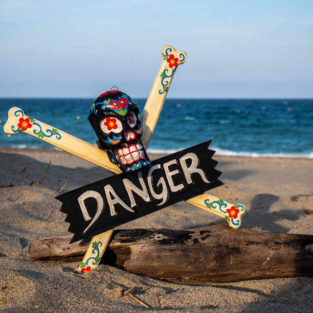 Déco Suspension Crâne