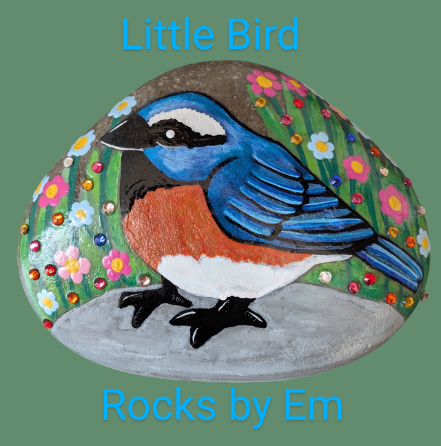 Painted Rock - Little Bird