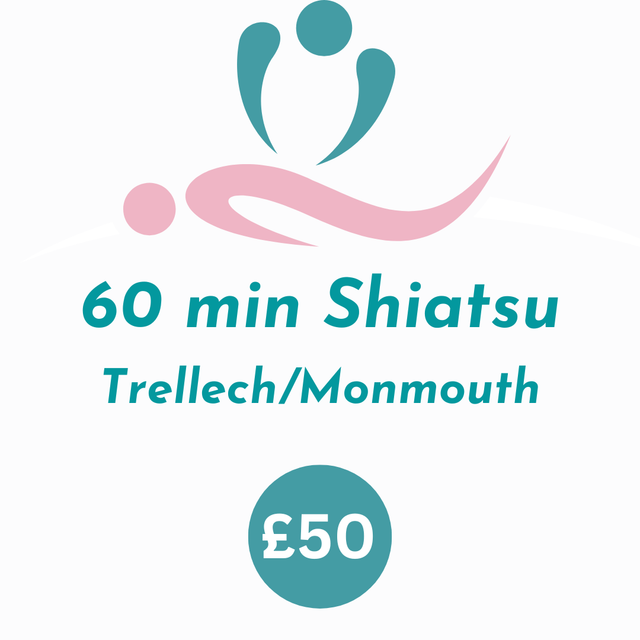 1 Shiatsu  (60 mins in Trellech or Monmouth) 