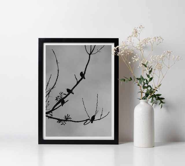 Tirage papier - Étourneau