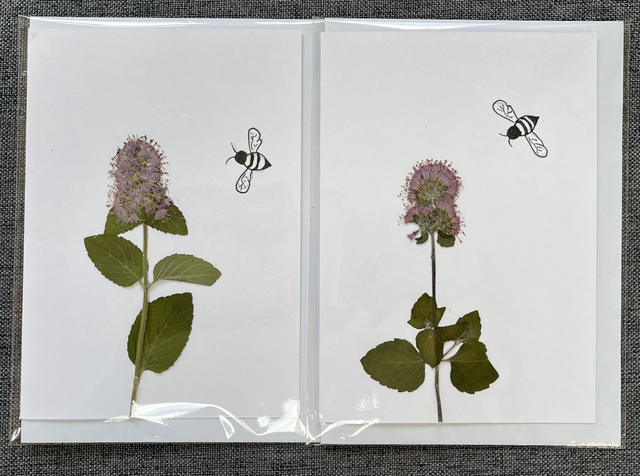 Wild Mint and Bee Greeting Card