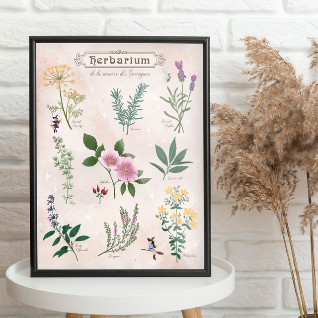 "Herbarium de la sorcière des Garrigues" Affiche 30x40