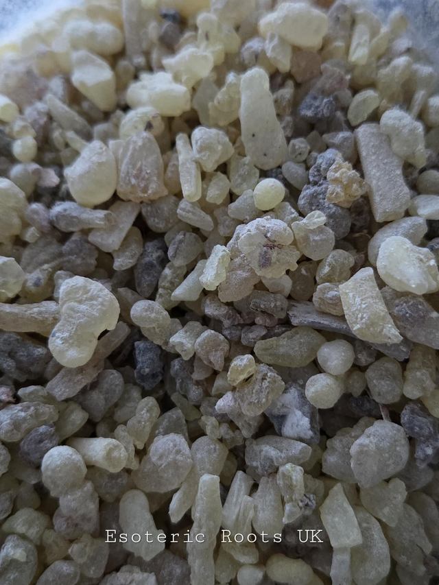 Sacred Indian Frankincense – Premium Boswellia Serrata Tears
