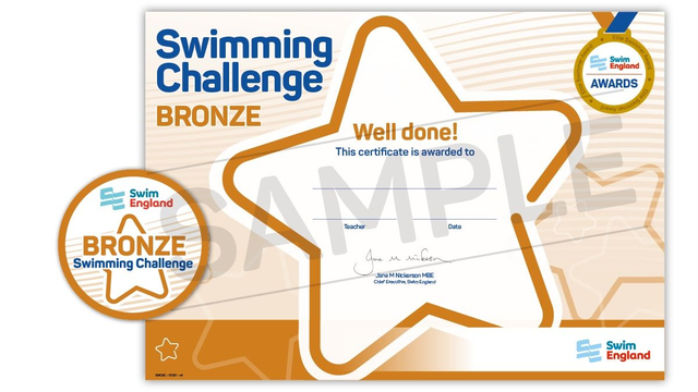 Bronze Challenge