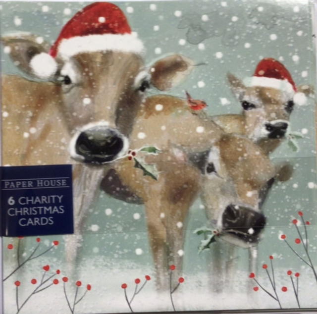 Christmas Pack of 6 by Paper House (Cows) 