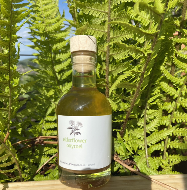 Elderflower Oxymel 