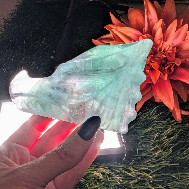 Fluorite Dragon Head Carving 
