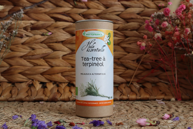 Huile Essentielle Tea-tree à Terpineol BIO (Melaleuca Alternifolia) 10ml