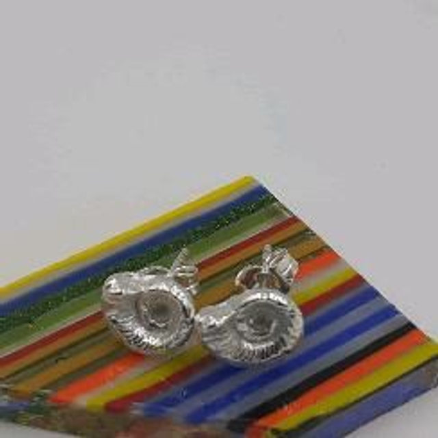 Jurassic Ammonite studs