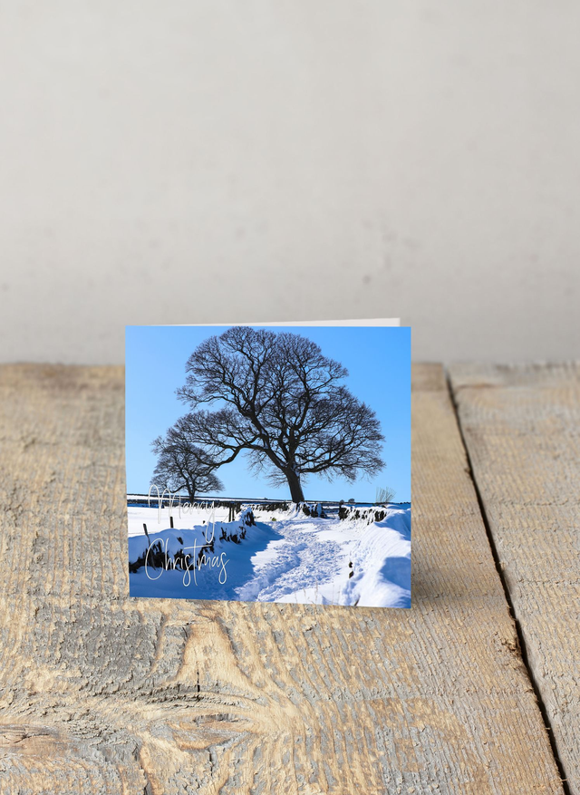 "Tree in the Snow at Penistone" Christmas Card 