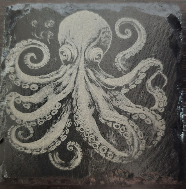 Animaux et plantes de l'océan