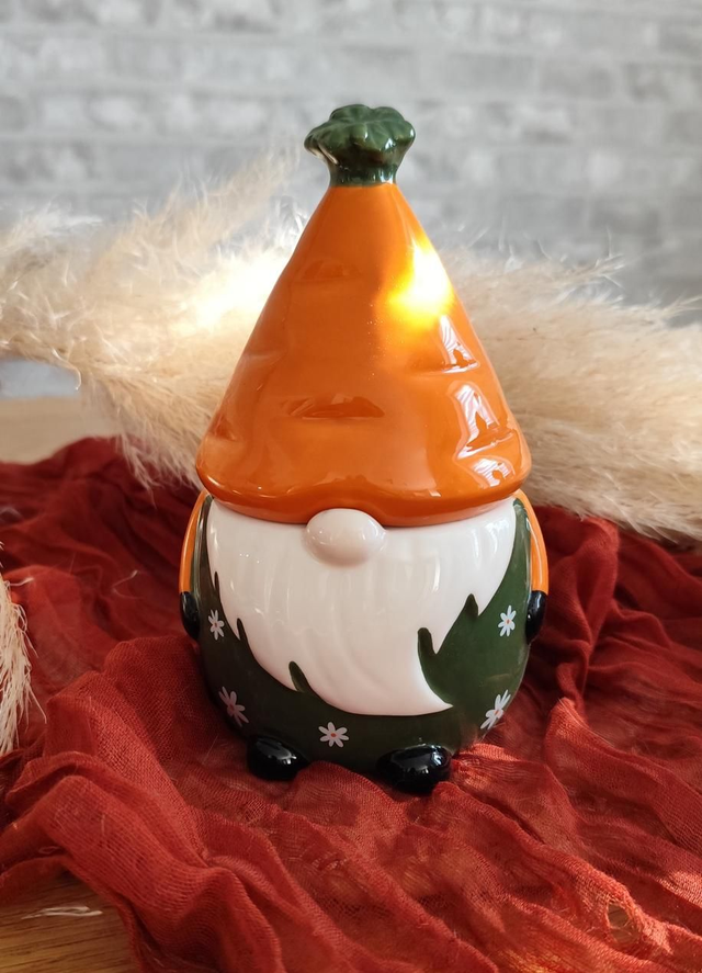 05.Brûleur gnome carottes 🥕 