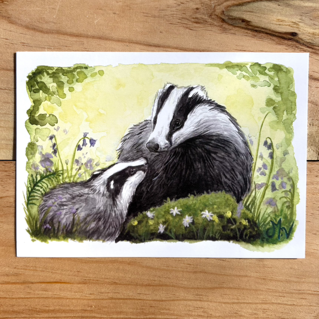 " Blaireaux" - carte postale - 10 x 15 cm 