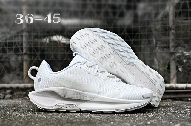 Nike Pegasus Trail 5 (Vendu sans la boîte )