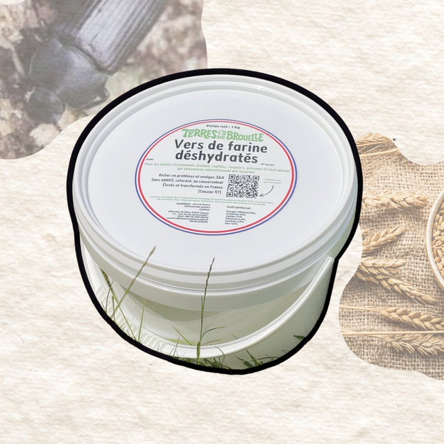 1kg vers de farine déshydratés (+ le seau pour les conserver)