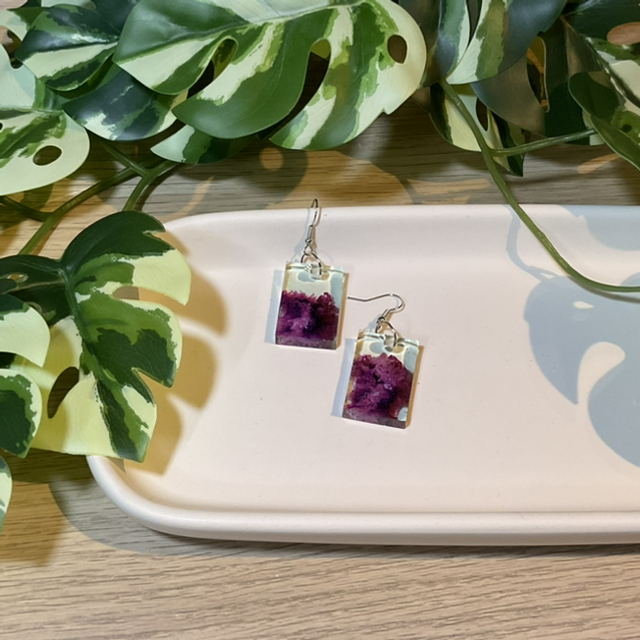 Farbe: Ohrhaken #0576