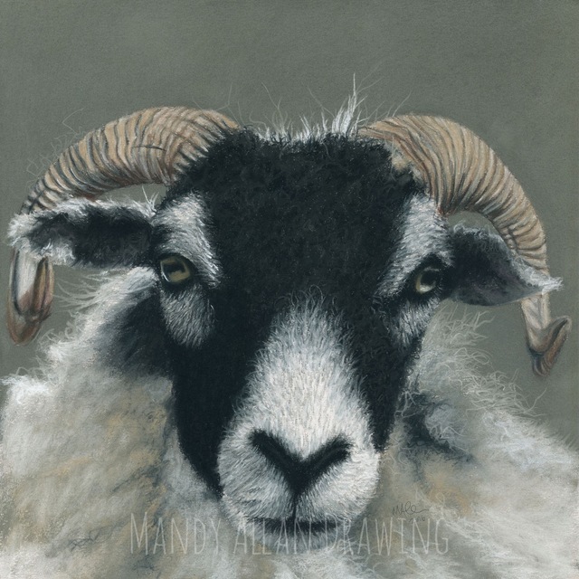 “Swaledale At Sow How Farm” Limited Edition Print