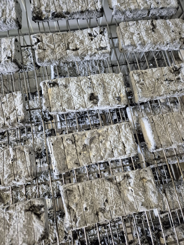 briquette cendré crémeuse