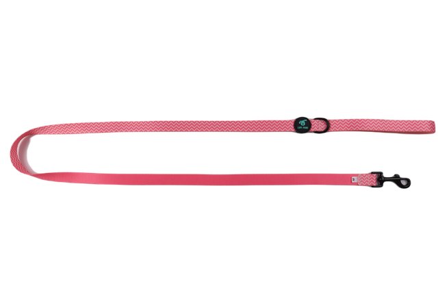 Pink Tail Leash