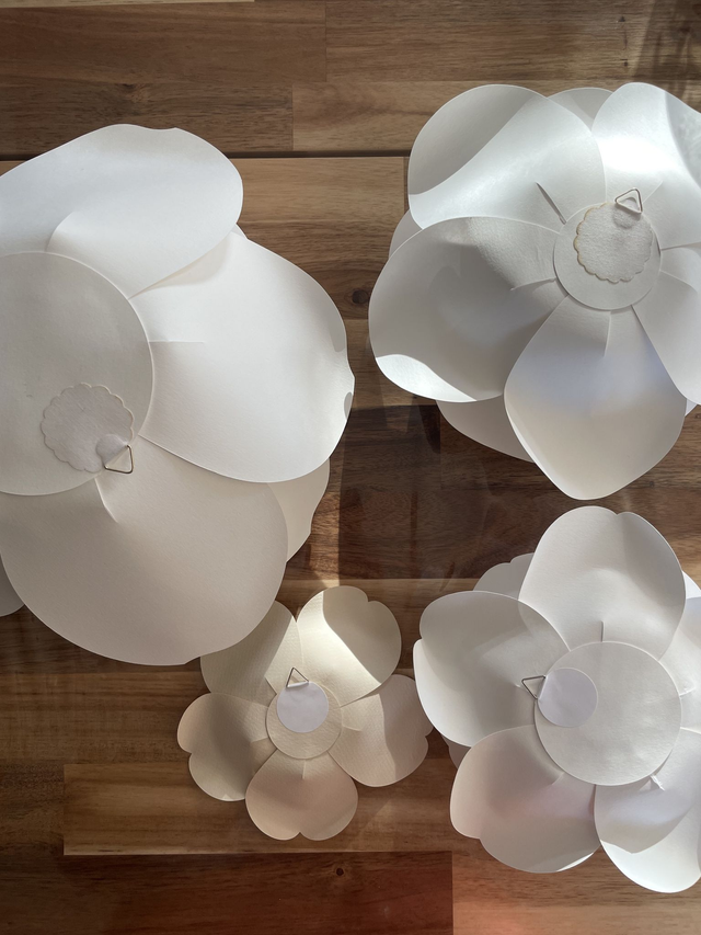 Lot 3 Fleurs blanches