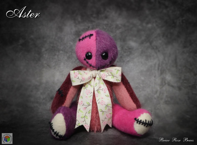 Aster