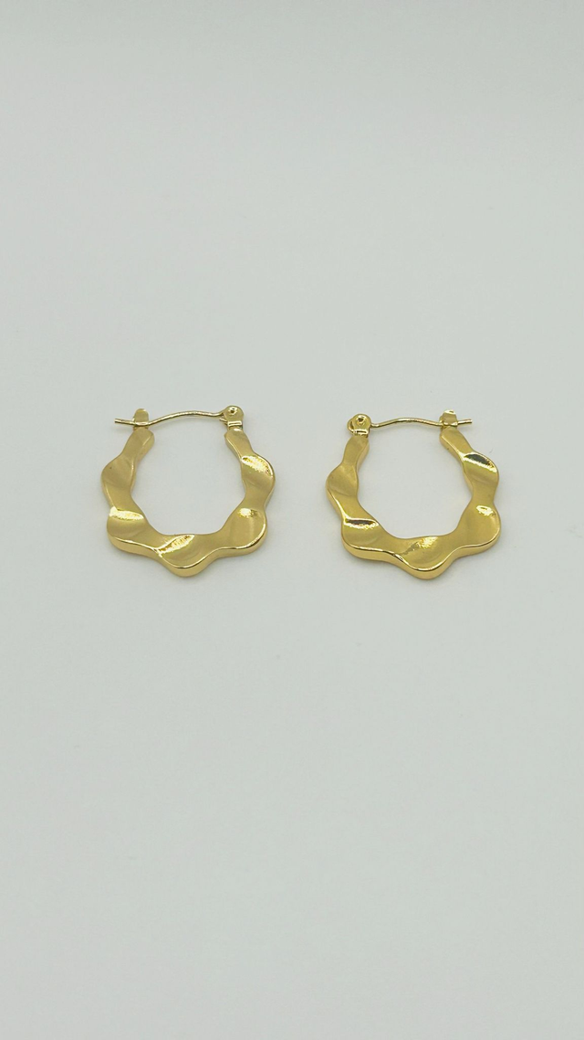Stainless Steel Earrings (SSE29J)