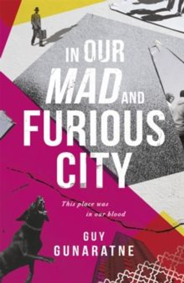 In Our Mad and Furious City : Winner of the International Dylan Thomas Prize