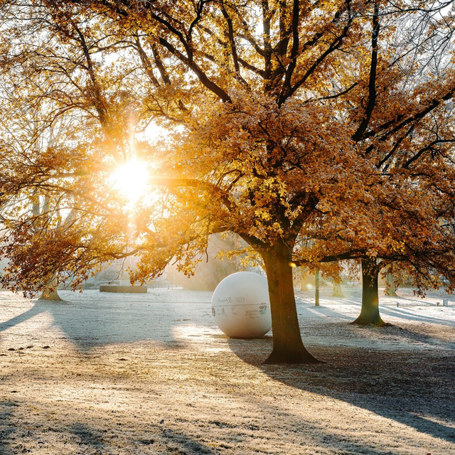Aaseekugeln in der Wintersonne