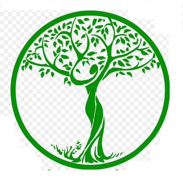 Conseil d&#039;alimentation thérapeutique