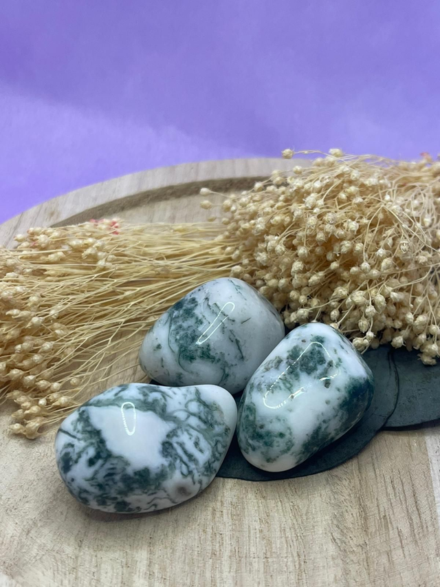 Pierre roulée  Agathe Arbre "Lien à la nature . Apaisement. Gaieté"