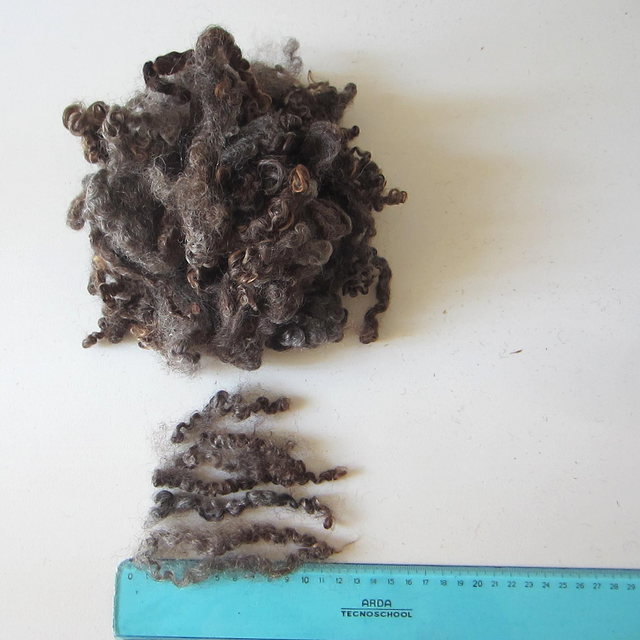 Wensleydale (nero, lavato) 50g. 