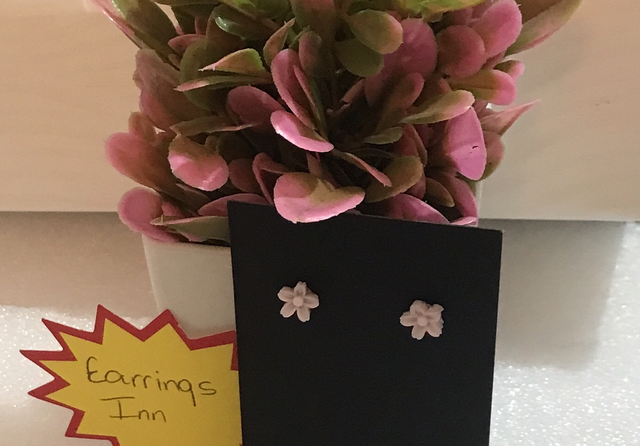 Children-Adult Studs -Pink- CASEPK-10