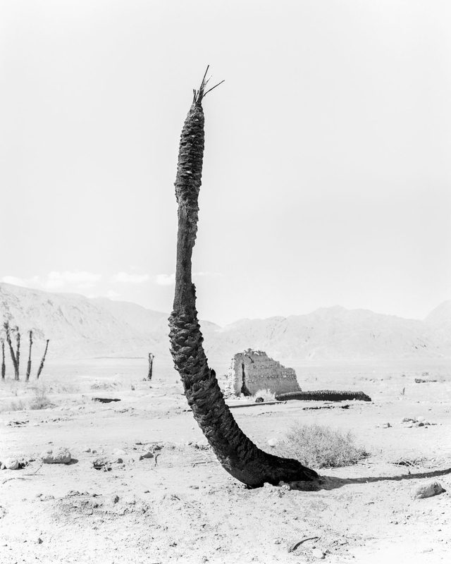 Sybren Vanoverberghe