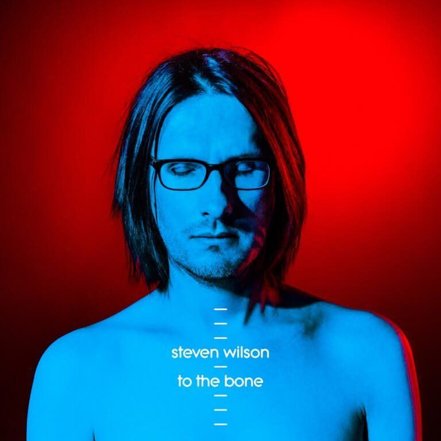 Steven Wilson To The Bone (Vinyl)