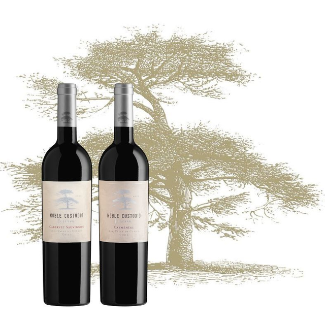 Caja Cabernet Sauvignon Reserva - Carmenere Reserva 6 UN