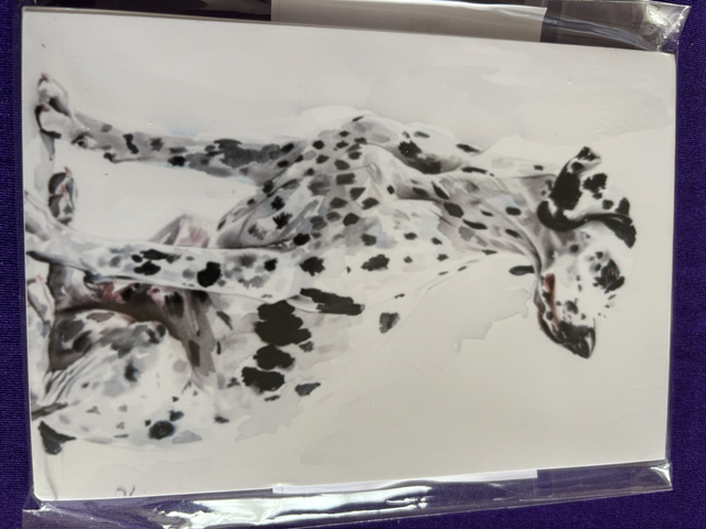 Plain Note Pad Dalmation