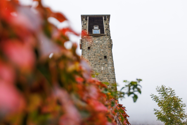 Lundi 16 février 2026 - Voyage au cœur de l'église Notre-Dame-De-Toute-Grâce