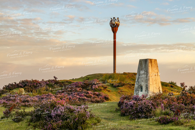 Blooming Beacon, Danby