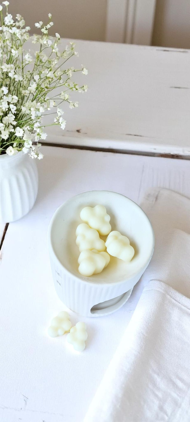 💨 Fondants parfumés – Linge frais