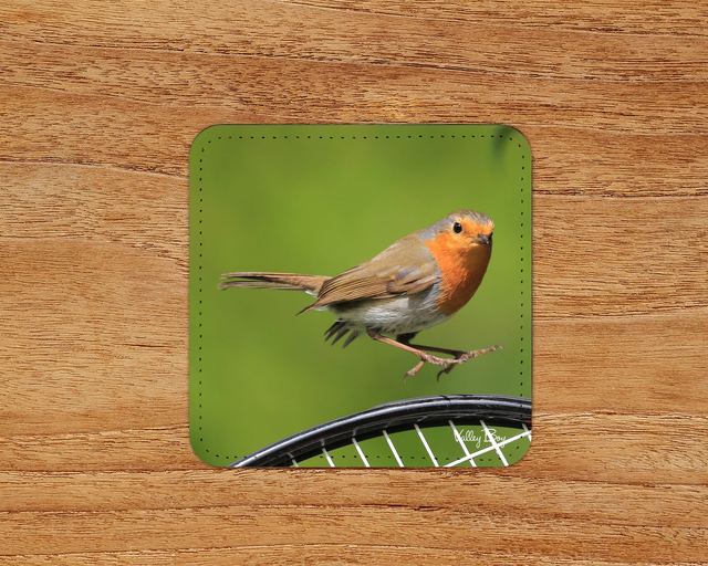 “Wimbledon Robin” Coaster 