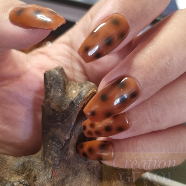 Tortoise little ballerine S 