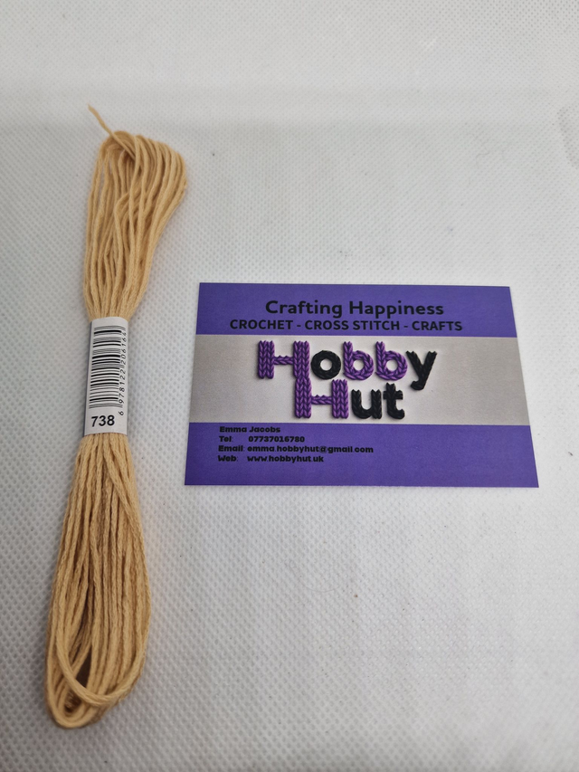 Embroidery Thread - 738