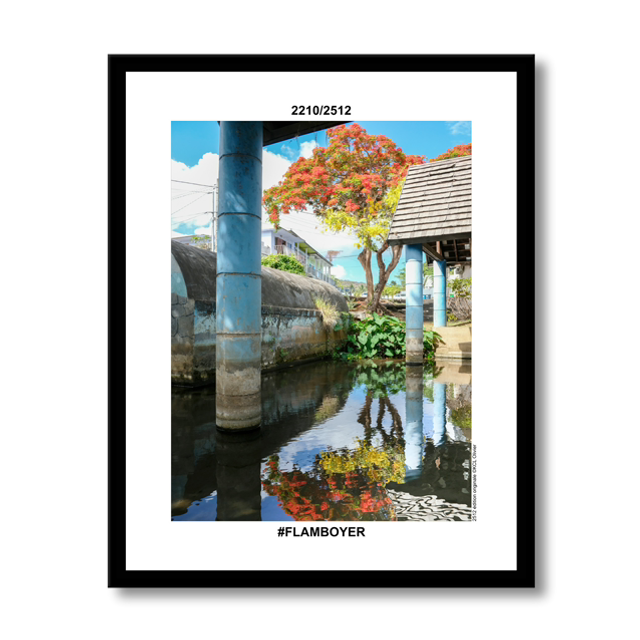 2210/2512 #FLAMBOYER